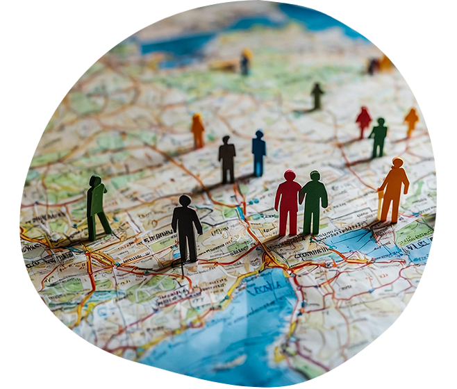 Historical data on sales market trends and demographics 